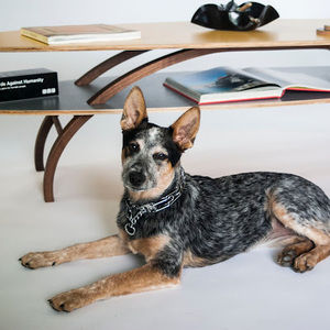 Meet your Posher, Eric